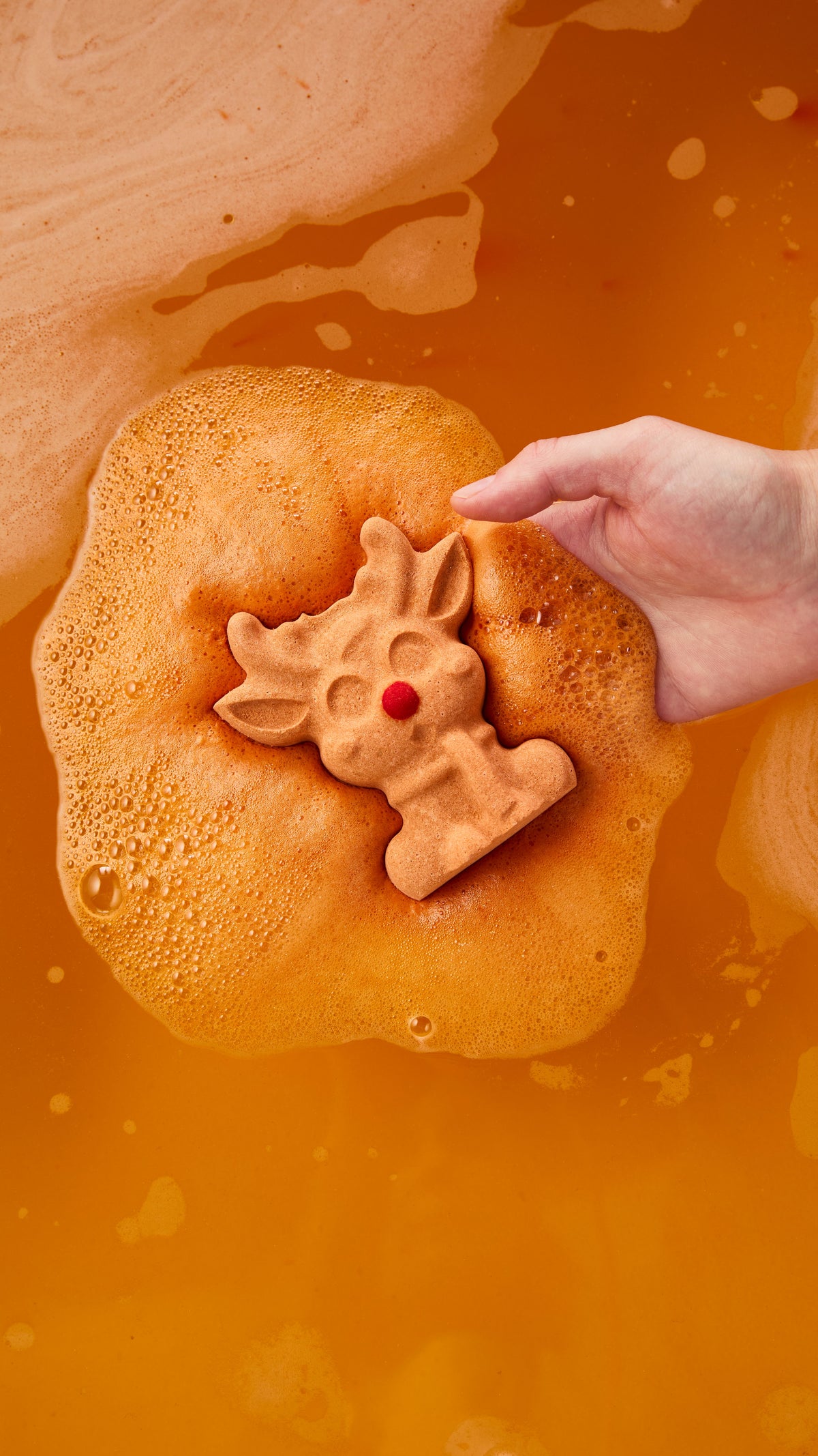 Reindeer