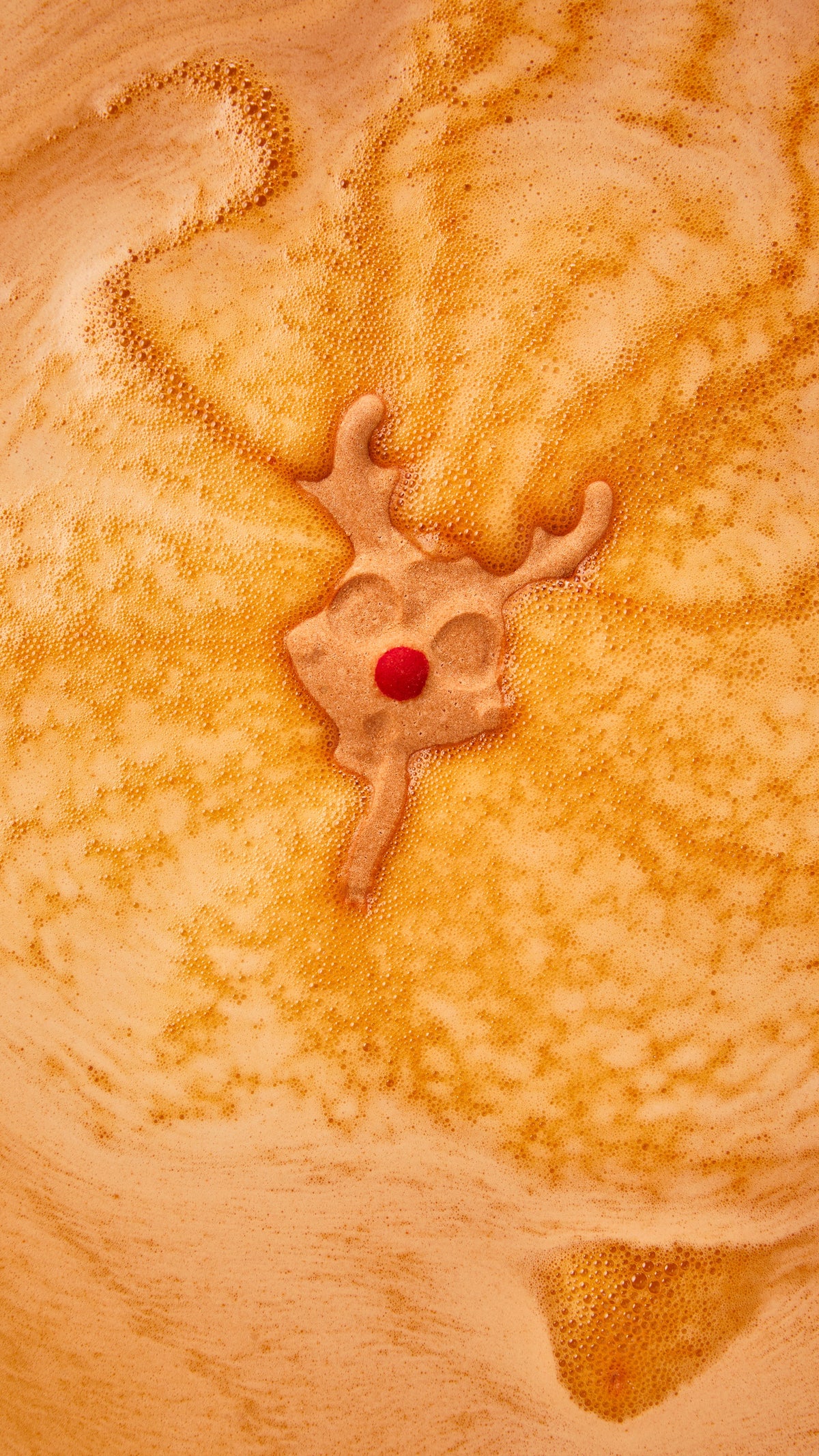 Reindeer