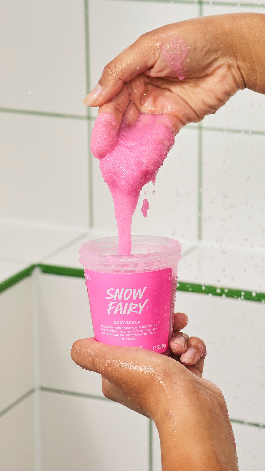 Snow Fairy