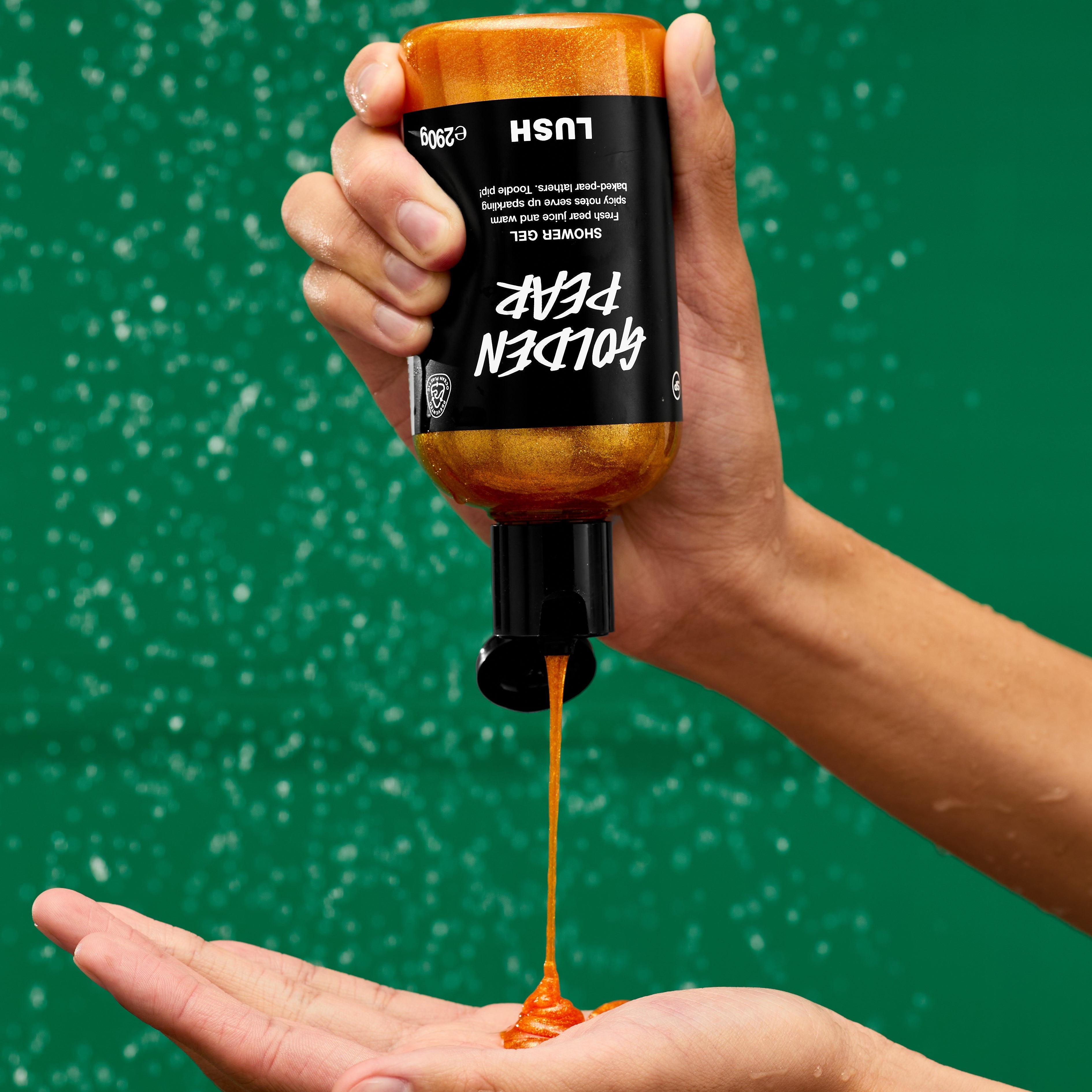 12 Days Of Christmas