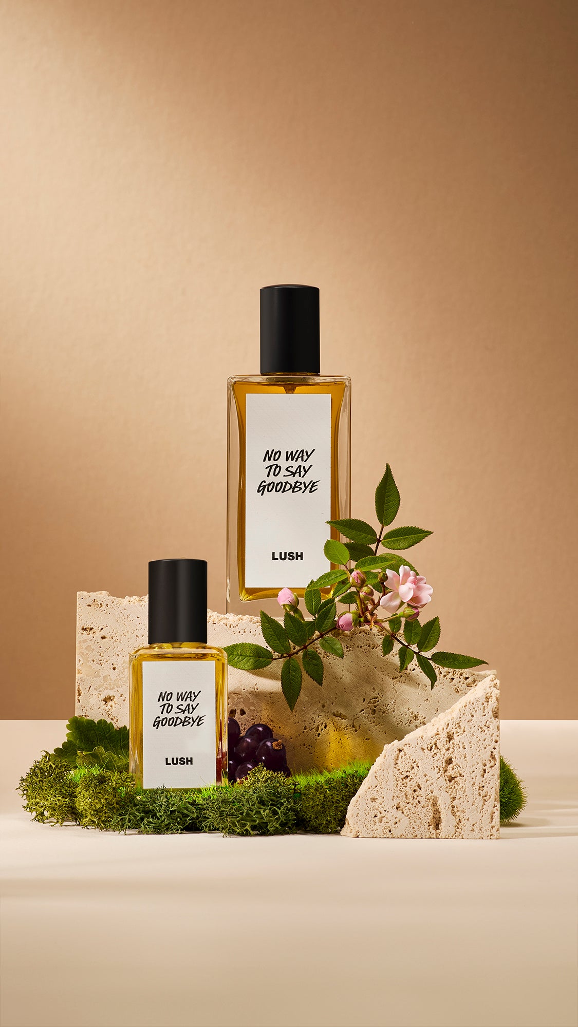 No Way To Say Goodbye