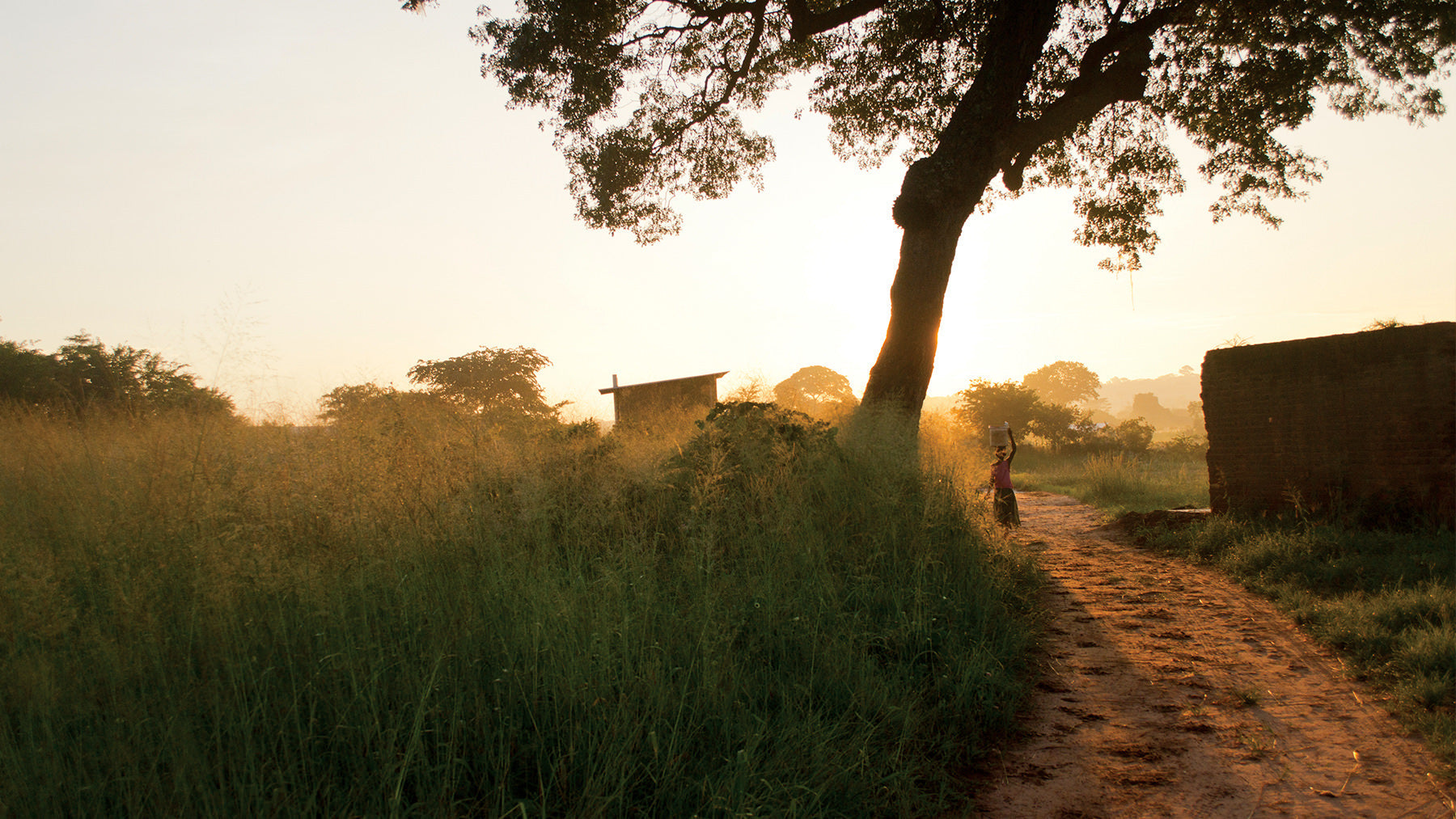 Honey, I Went To Zambia