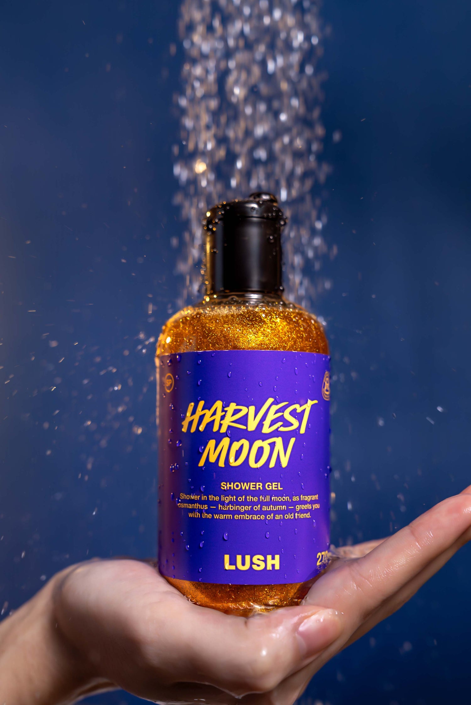 Harvest Moon
