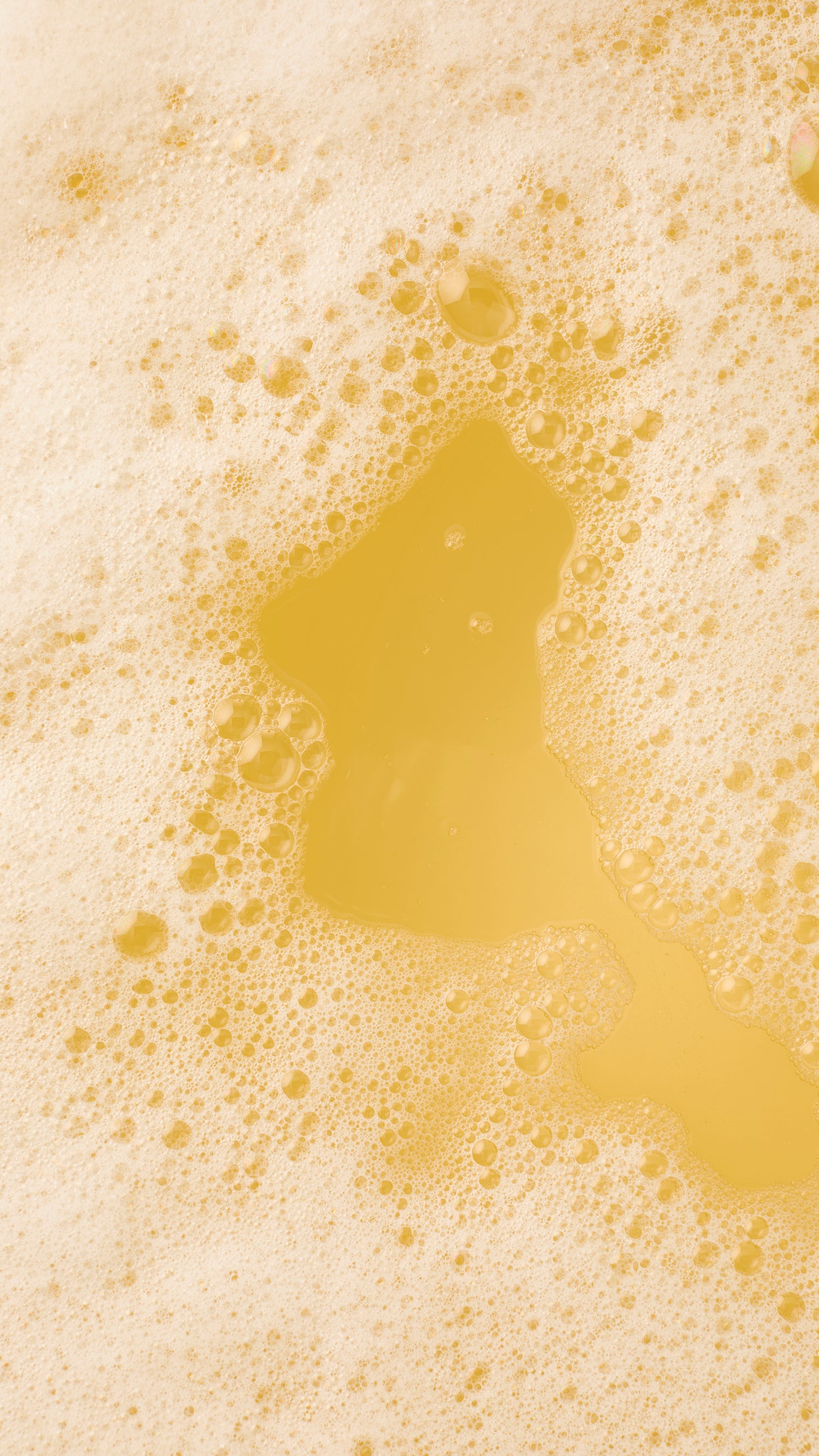 Baby Rainbow Carrot - Oranž