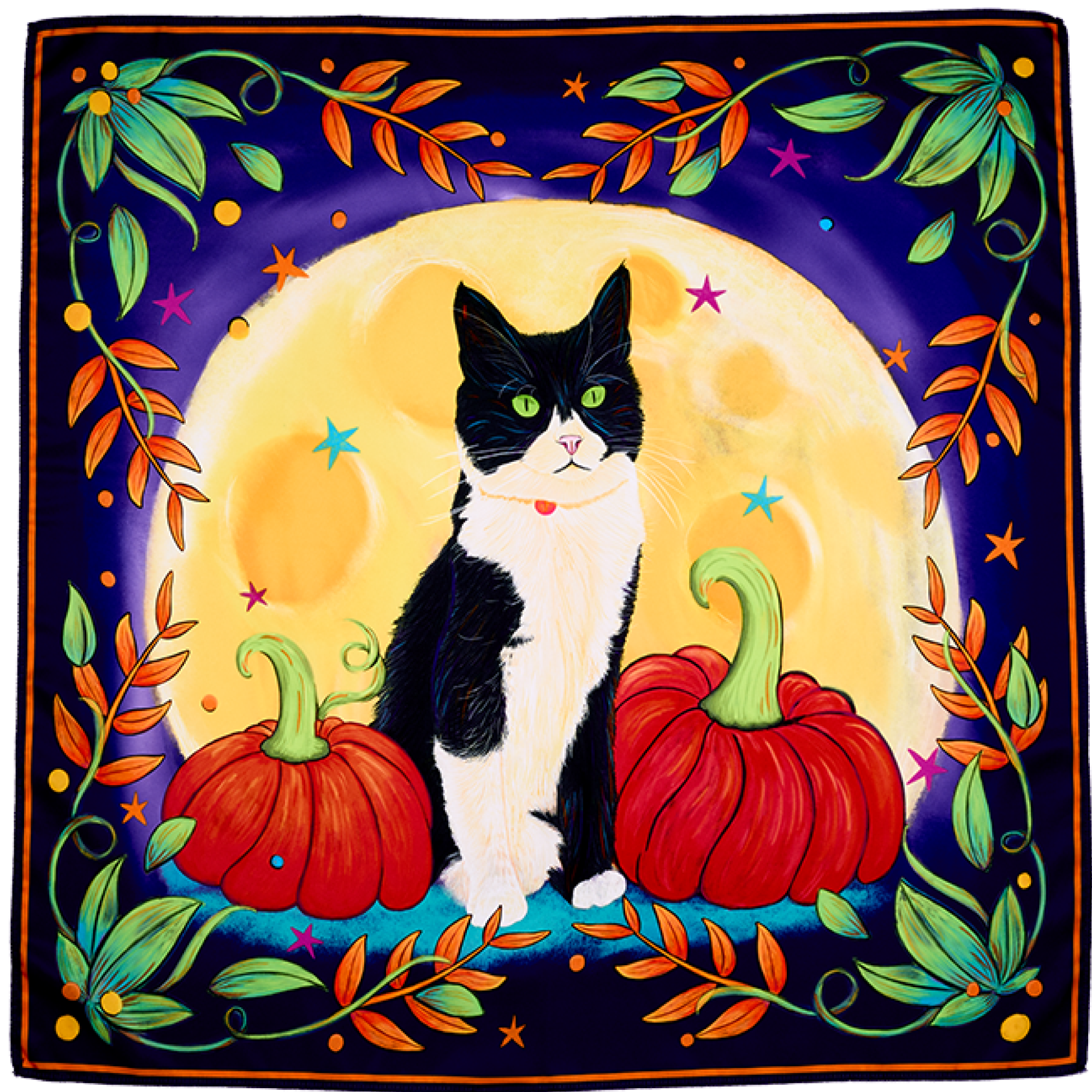 Luna the cat knot wrap