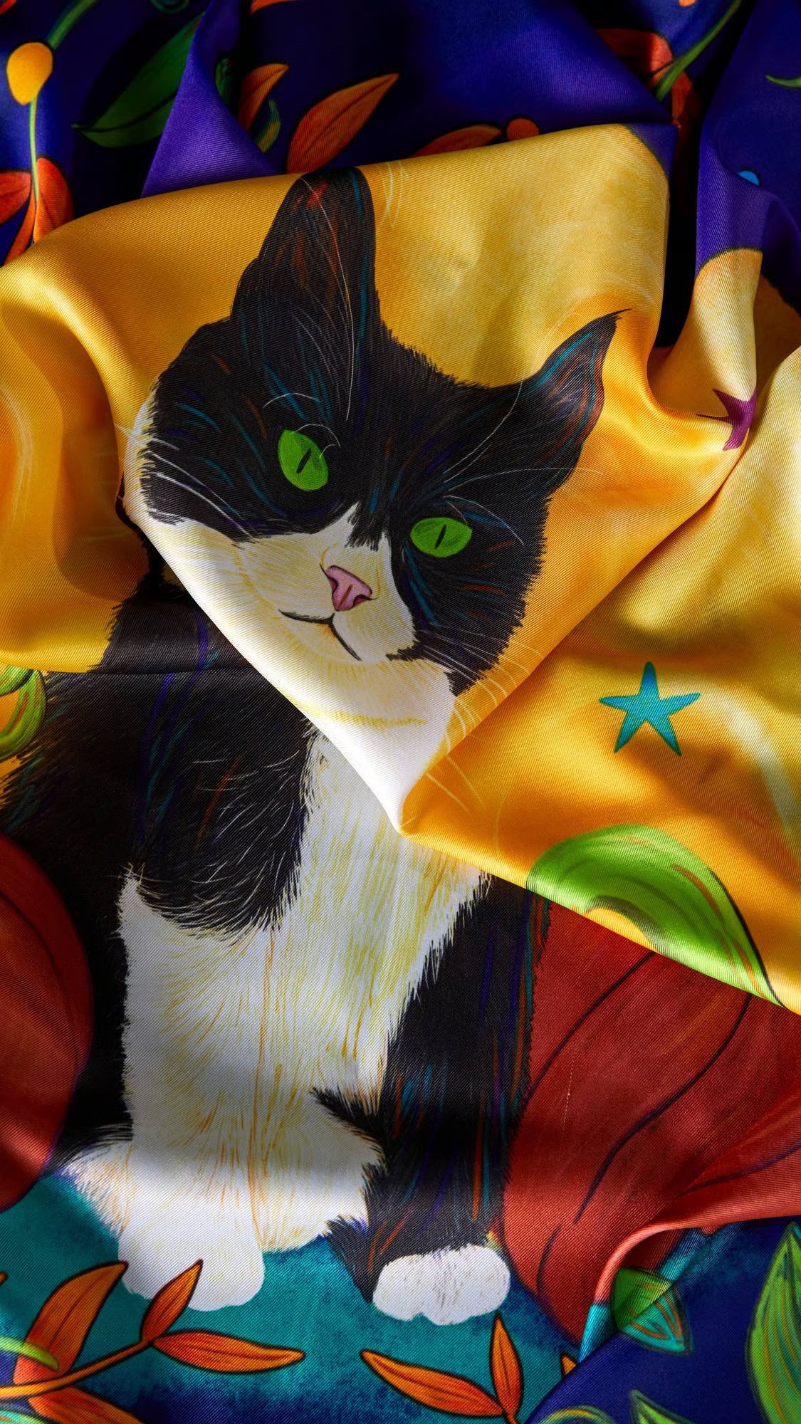 Luna the cat knot wrap