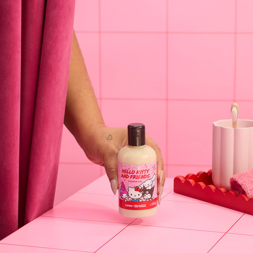 Hello Kitty &amp; Friends