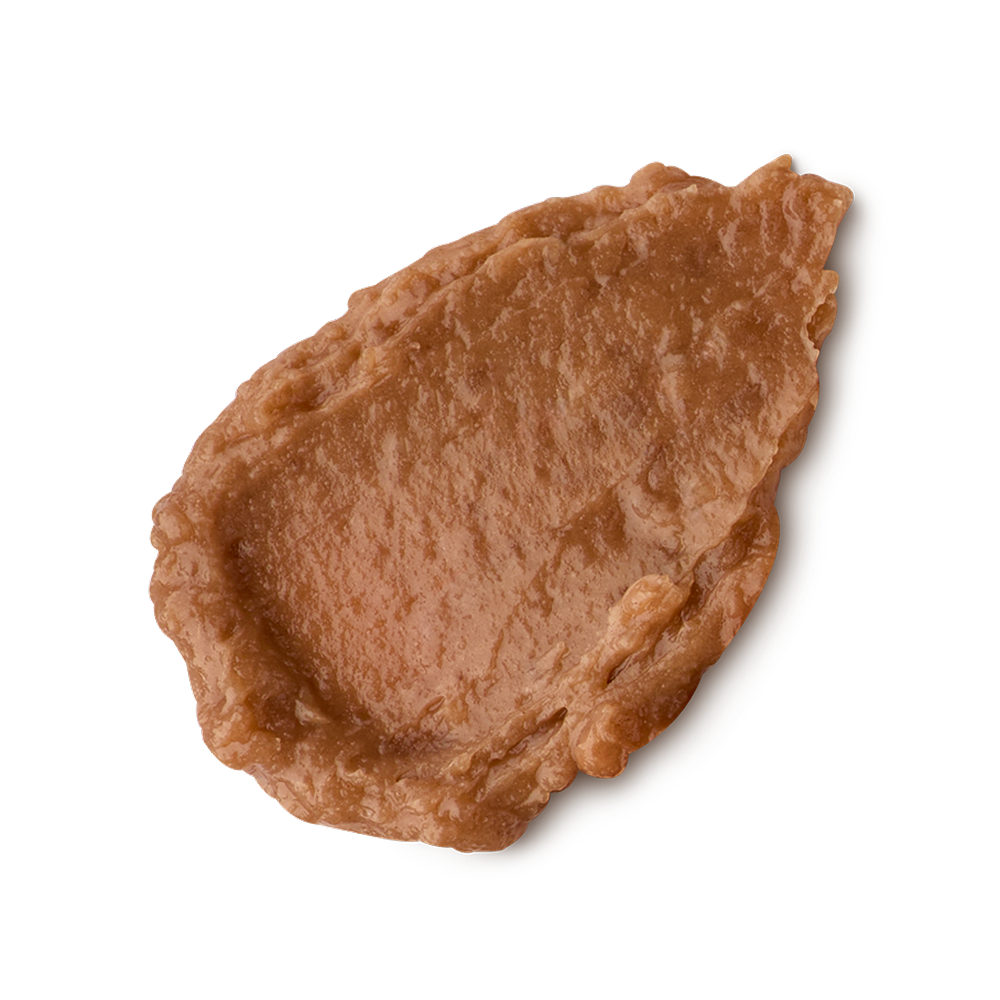 Hot Chocolate Orange
