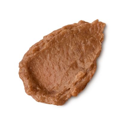 Hot Chocolate Orange