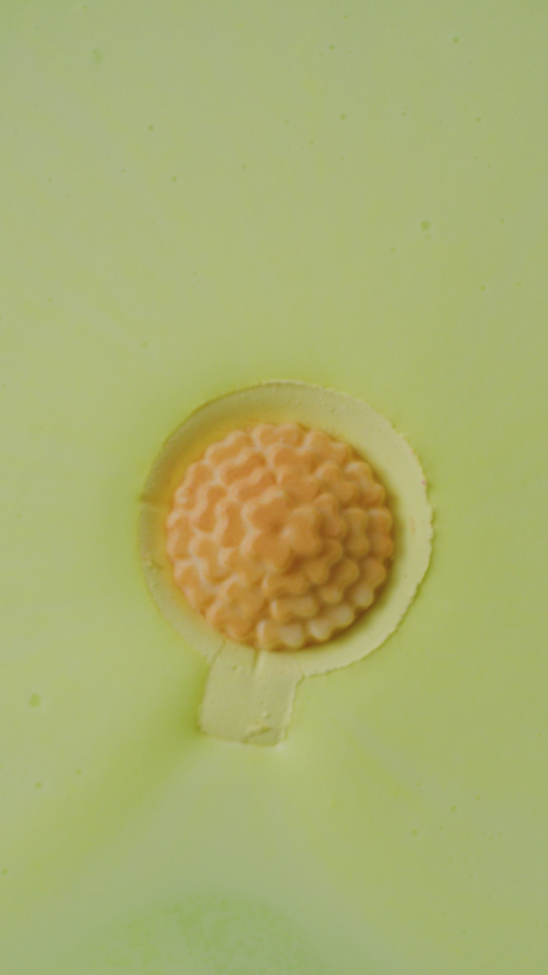 Marigold Tea