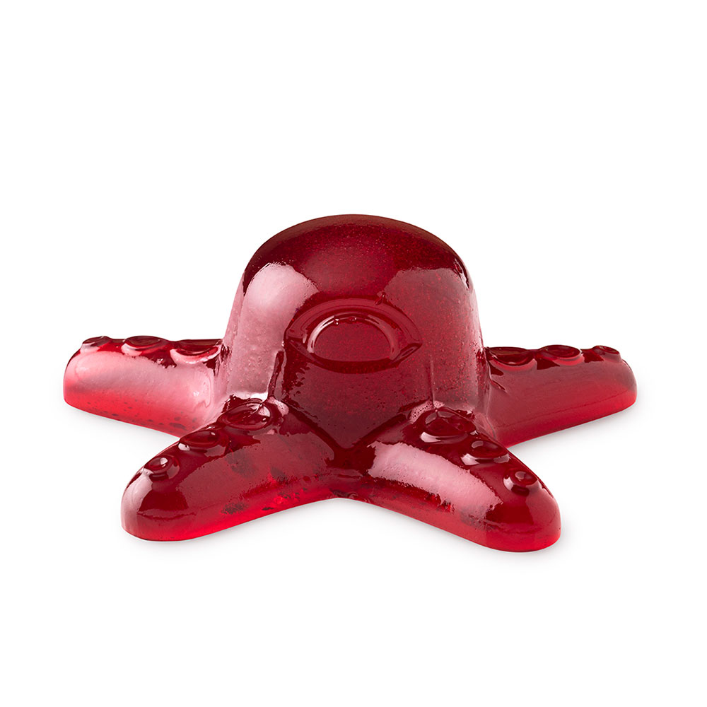 Lush octopus jelly